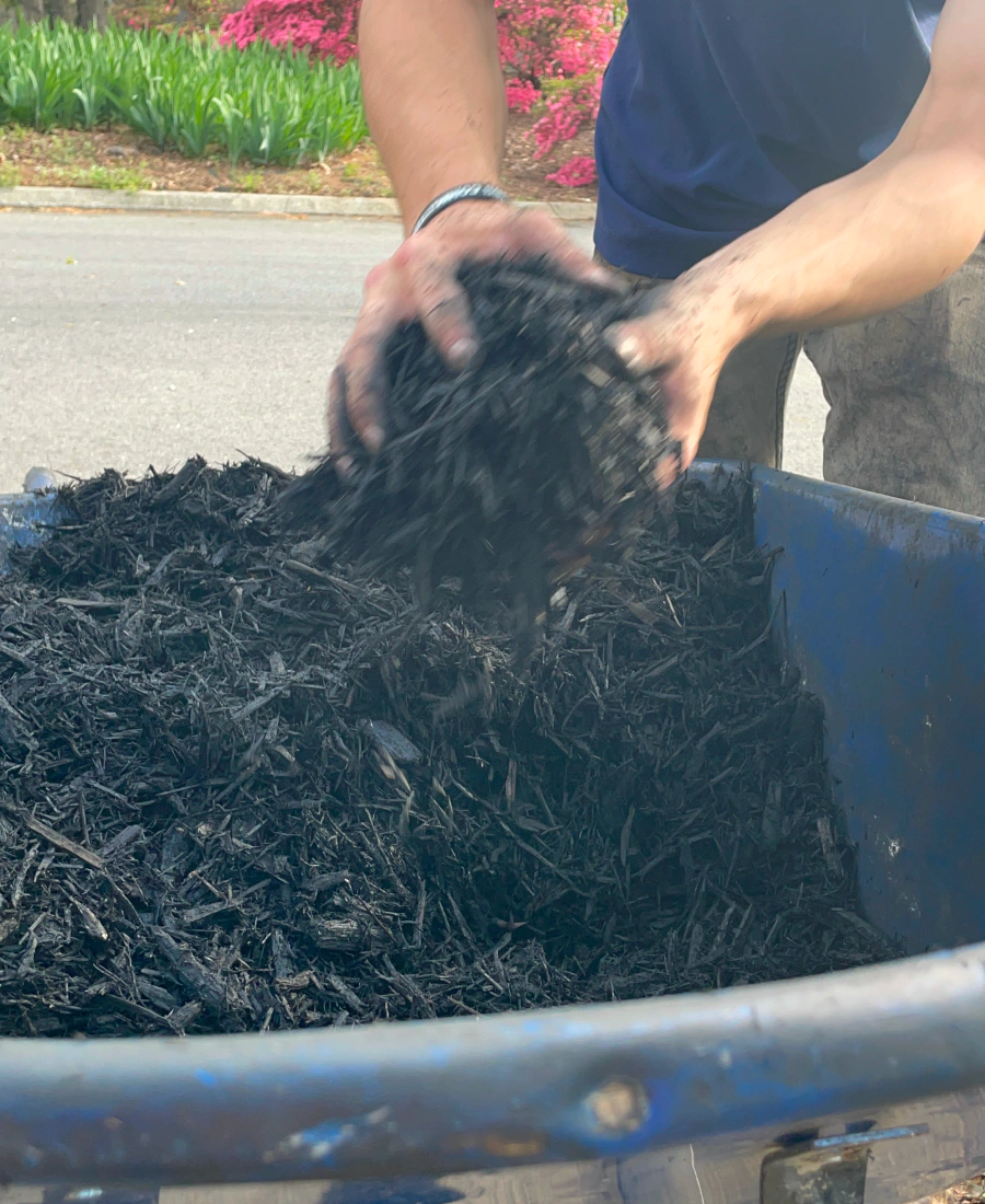 mulch installation service